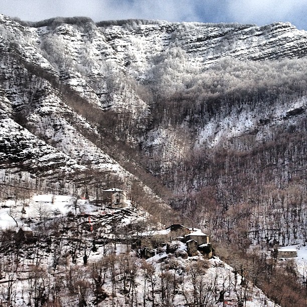 11264535_656170934527791_2011673127_n